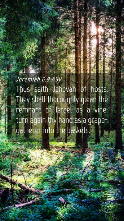 Picture 04 - Jeremiah 6:9 ASV Mobile Phone Wallpaper - Thus saith Jehovah of hosts, They shall - Mobile Bible Verse Wallpaper