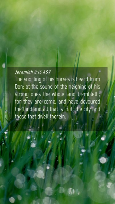 Picture 04 - Jeremiah 8:16 ASV Mobile Phone Wallpaper - The snorting of his horses is heard from Dan: at - Mobile Bible Verse Wallpaper