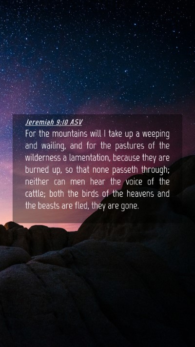 Picture 04 - Jeremiah 9:10 ASV Mobile Phone Wallpaper - For the mountains will I take up a weeping and - Mobile Bible Verse Wallpaper