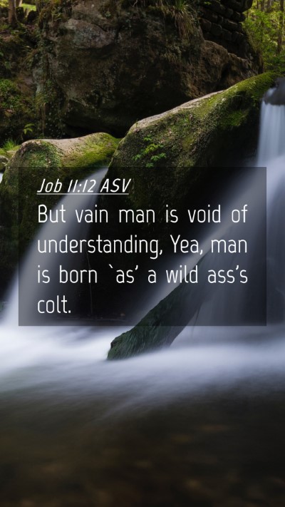 Picture 04 - Job 11:12 ASV Mobile Phone Wallpaper - But vain man is void of understanding, Yea, man - Mobile Bible Verse Wallpaper