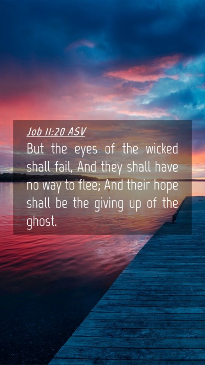 Picture 04 - Job 11:20 ASV Mobile Phone Wallpaper - But the eyes of the wicked shall fail, And they - Mobile Bible Verse Wallpaper