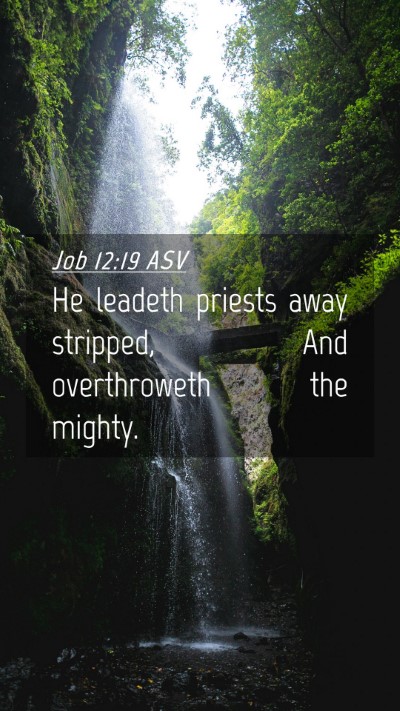 Picture 04 - Job 12:19 ASV Mobile Phone Wallpaper - He leadeth priests away stripped, And - Mobile Bible Verse Wallpaper