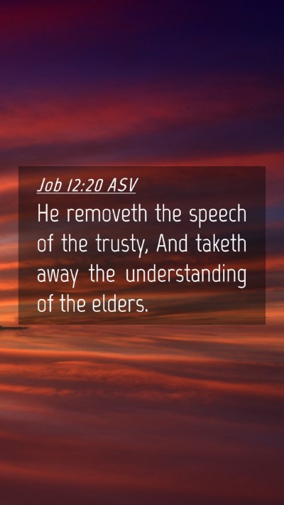 Picture 04 - Job 12:20 ASV Mobile Phone Wallpaper - He removeth the speech of the trusty, And taketh - Mobile Bible Verse Wallpaper