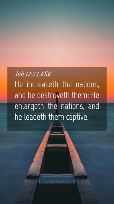 Picture 04 - Job 12:23 ASV Mobile Phone Wallpaper - He increaseth the nations, and he destroyeth - Mobile Bible Verse Wallpaper