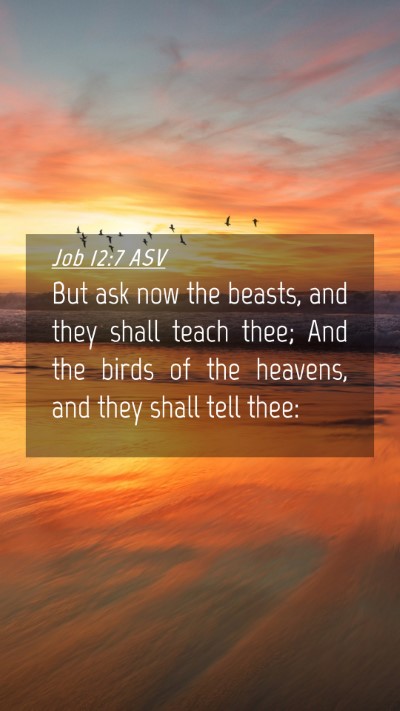Picture 04 - Job 12:7 ASV Mobile Phone Wallpaper - But ask now the beasts, and they shall teach - Mobile Bible Verse Wallpaper