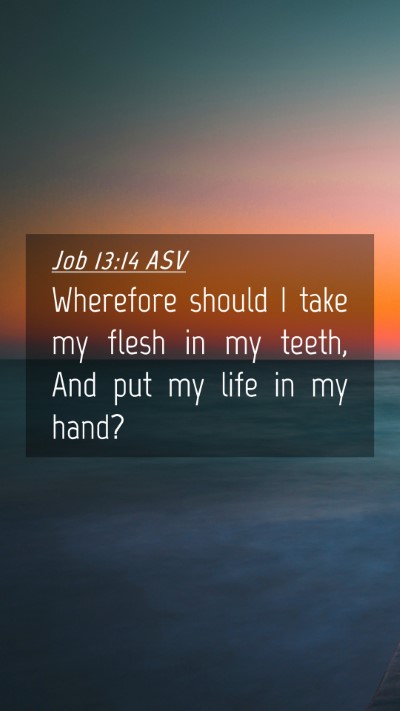 Picture 04 - Job 13:14 ASV Mobile Phone Wallpaper - Wherefore should I take my flesh in my teeth, And - Mobile Bible Verse Wallpaper