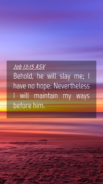 Picture 04 - Job 13:15 ASV Mobile Phone Wallpaper - Behold, he will slay me; I have no hope: - Mobile Bible Verse Wallpaper