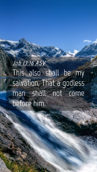 Picture 04 - Job 13:16 ASV Mobile Phone Wallpaper - This also shall be my salvation, That a godless - Mobile Bible Verse Wallpaper