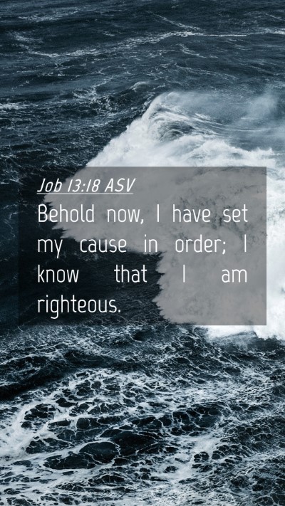 Picture 04 - Job 13:18 ASV Mobile Phone Wallpaper - Behold now, I have set my cause in order; I know - Mobile Bible Verse Wallpaper