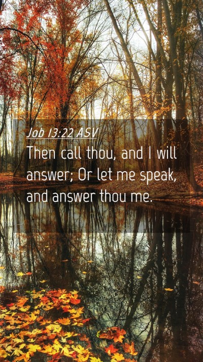Picture 04 - Job 13:22 ASV Mobile Phone Wallpaper - Then call thou, and I will answer; Or let me - Mobile Bible Verse Wallpaper