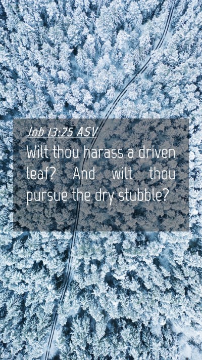 Picture 04 - Job 13:25 ASV Mobile Phone Wallpaper - Wilt thou harass a driven leaf? And wilt thou - Mobile Bible Verse Wallpaper