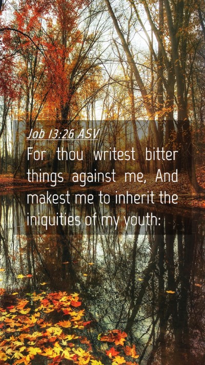 Picture 04 - Job 13:26 ASV Mobile Phone Wallpaper - For thou writest bitter things against me, And - Mobile Bible Verse Wallpaper