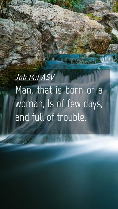 Picture 04 - Job 14:1 ASV Mobile Phone Wallpaper - Man, that is born of a woman, Is of few days, and - Mobile Bible Verse Wallpaper