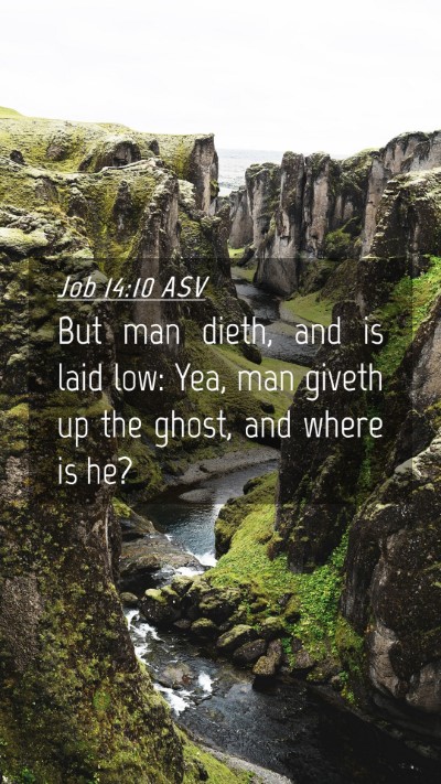 Picture 04 - Job 14:10 ASV Mobile Phone Wallpaper - But man dieth, and is laid low: Yea, man giveth - Mobile Bible Verse Wallpaper