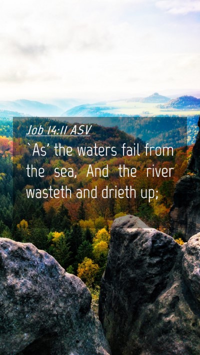 Picture 04 - Job 14:11 ASV Mobile Phone Wallpaper - `As' the waters fail from the sea, And the river - Mobile Bible Verse Wallpaper