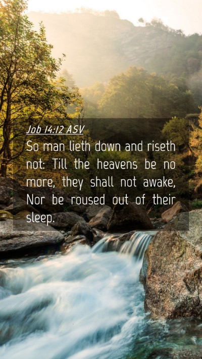 Picture 04 - Job 14:12 ASV Mobile Phone Wallpaper - So man lieth down and riseth not: Till the - Mobile Bible Verse Wallpaper