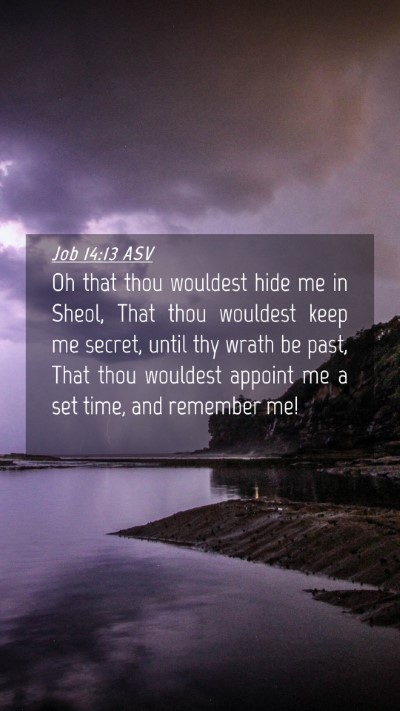 Picture 04 - Job 14:13 ASV Mobile Phone Wallpaper - Oh that thou wouldest hide me in Sheol, That thou - Mobile Bible Verse Wallpaper