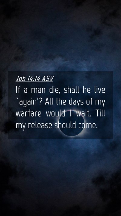 Picture 04 - Job 14:14 ASV Mobile Phone Wallpaper - If a man die, shall he live `again'? All the days - Mobile Bible Verse Wallpaper