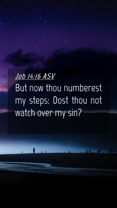 Picture 04 - Job 14:16 ASV Mobile Phone Wallpaper - But now thou numberest my steps: Dost thou not - Mobile Bible Verse Wallpaper