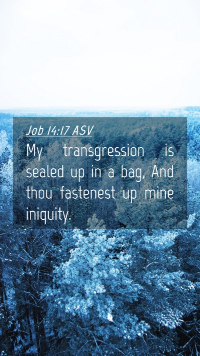 Picture 04 - Job 14:17 ASV Mobile Phone Wallpaper - My transgression is sealed up in a bag, And thou - Mobile Bible Verse Wallpaper
