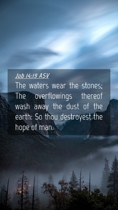 Picture 04 - Job 14:19 ASV Mobile Phone Wallpaper - The waters wear the stones; The overflowings - Mobile Bible Verse Wallpaper