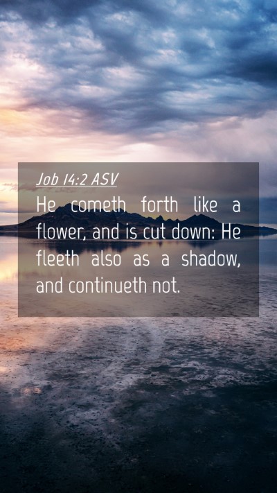 Picture 04 - Job 14:2 ASV Mobile Phone Wallpaper - He cometh forth like a flower, and is cut down: - Mobile Bible Verse Wallpaper