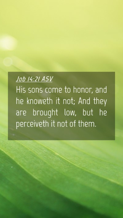Picture 04 - Job 14:21 ASV Mobile Phone Wallpaper - His sons come to honor, and he knoweth it not; - Mobile Bible Verse Wallpaper