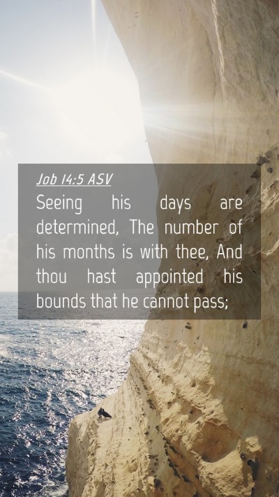 Picture 04 - Job 14:5 ASV Mobile Phone Wallpaper - Seeing his days are determined, The number of his - Mobile Bible Verse Wallpaper