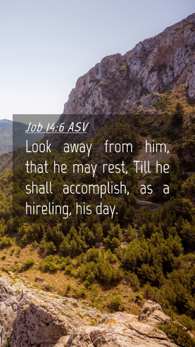 Picture 04 - Job 14:6 ASV Mobile Phone Wallpaper - Look away from him, that he may rest, Till he - Mobile Bible Verse Wallpaper