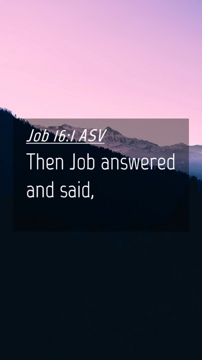 Picture 04 - Job 16:1 ASV Mobile Phone Wallpaper - Then Job answered and - Mobile Bible Verse Wallpaper