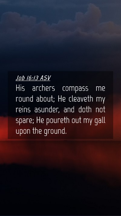 Picture 04 - Job 16:13 ASV Mobile Phone Wallpaper - His archers compass me round about; He cleaveth - Mobile Bible Verse Wallpaper