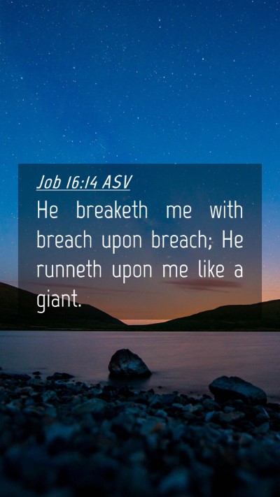 Picture 04 - Job 16:14 ASV Mobile Phone Wallpaper - He breaketh me with breach upon breach; He - Mobile Bible Verse Wallpaper