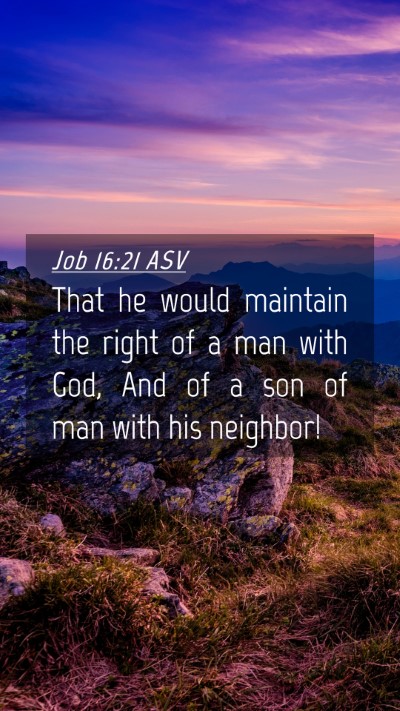 Picture 04 - Job 16:21 ASV Mobile Phone Wallpaper - That he would maintain the right of a man with - Mobile Bible Verse Wallpaper