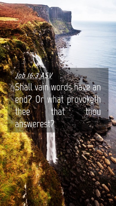 Picture 04 - Job 16:3 ASV Mobile Phone Wallpaper - Shall vain words have an end? Or what provoketh - Mobile Bible Verse Wallpaper