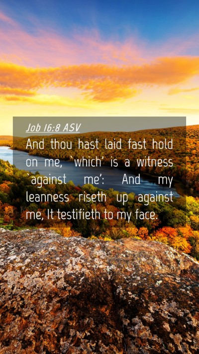 Picture 04 - Job 16:8 ASV Mobile Phone Wallpaper - And thou hast laid fast hold on me, `which' is a - Mobile Bible Verse Wallpaper