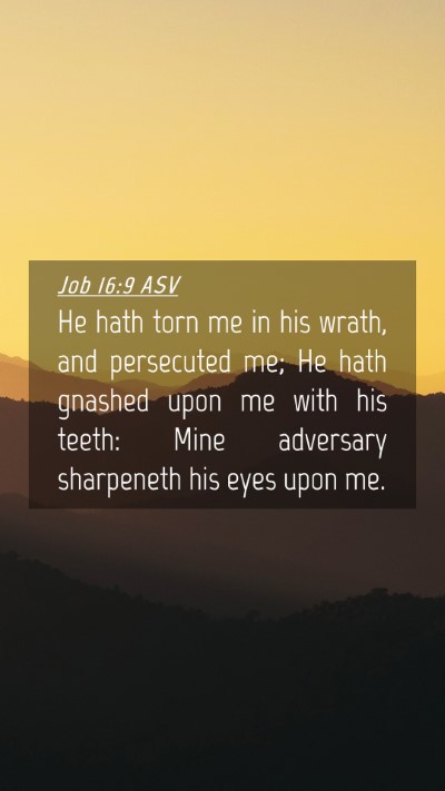 Picture 04 - Job 16:9 ASV Mobile Phone Wallpaper - He hath torn me in his wrath, and persecuted me; - Mobile Bible Verse Wallpaper