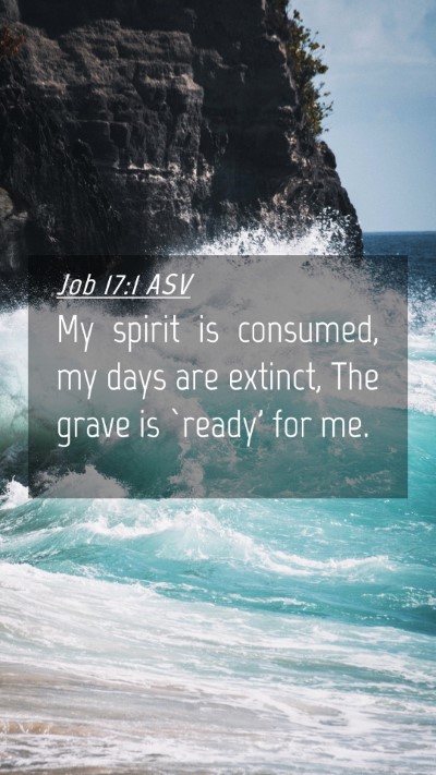 Picture 04 - Job 17:1 ASV Mobile Phone Wallpaper - My spirit is consumed, my days are extinct, The - Mobile Bible Verse Wallpaper
