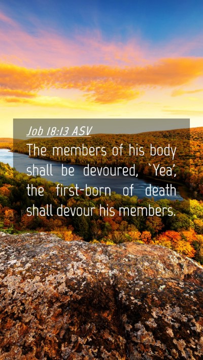 Picture 04 - Job 18:13 ASV Mobile Phone Wallpaper - The members of his body shall be devoured, `Yea', - Mobile Bible Verse Wallpaper
