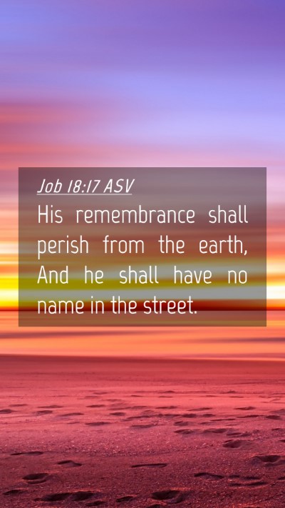 Picture 04 - Job 18:17 ASV Mobile Phone Wallpaper - His remembrance shall perish from the earth, And - Mobile Bible Verse Wallpaper