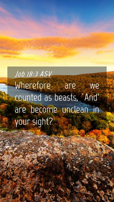 Picture 04 - Job 18:3 ASV Mobile Phone Wallpaper - Wherefore are we counted as beasts, `And' are - Mobile Bible Verse Wallpaper