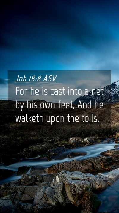 Picture 04 - Job 18:8 ASV Mobile Phone Wallpaper - For he is cast into a net by his own feet, And he - Mobile Bible Verse Wallpaper