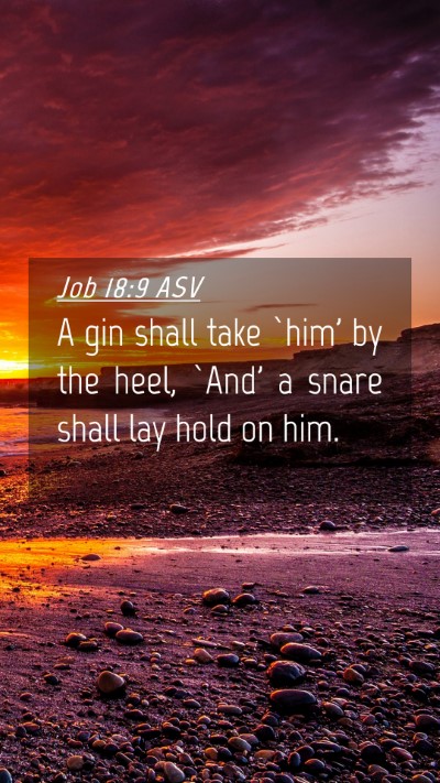 Picture 04 - Job 18:9 ASV Mobile Phone Wallpaper - A gin shall take `him' by the heel, `And' a snare - Mobile Bible Verse Wallpaper
