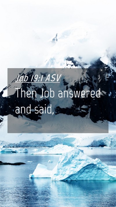 Picture 04 - Job 19:1 ASV Mobile Phone Wallpaper - Then Job answered and - Mobile Bible Verse Wallpaper
