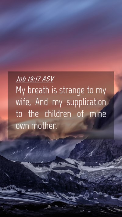 Picture 04 - Job 19:17 ASV Mobile Phone Wallpaper - My breath is strange to my wife, And my - Mobile Bible Verse Wallpaper
