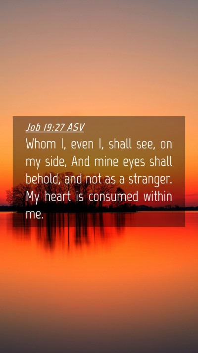 Picture 04 - Job 19:27 ASV Mobile Phone Wallpaper - Whom I, even I, shall see, on my side, And mine - Mobile Bible Verse Wallpaper