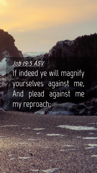 Picture 04 - Job 19:5 ASV Mobile Phone Wallpaper - If indeed ye will magnify yourselves against me, - Mobile Bible Verse Wallpaper