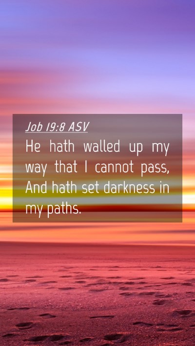 Picture 04 - Job 19:8 ASV Mobile Phone Wallpaper - He hath walled up my way that I cannot pass, And - Mobile Bible Verse Wallpaper