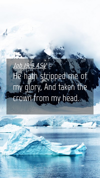 Picture 04 - Job 19:9 ASV Mobile Phone Wallpaper - He hath stripped me of my glory, And taken the - Mobile Bible Verse Wallpaper