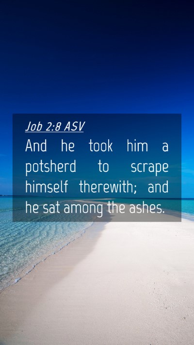 Picture 04 - Job 2:8 ASV Mobile Phone Wallpaper - And he took him a potsherd to scrape himself - Mobile Bible Verse Wallpaper