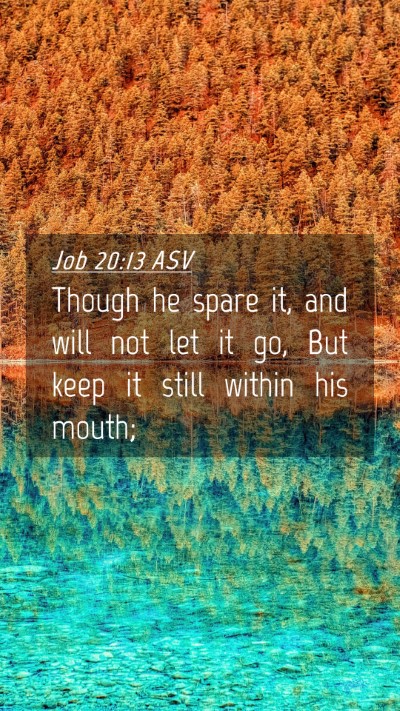 Picture 04 - Job 20:13 ASV Mobile Phone Wallpaper - Though he spare it, and will not let it go, But - Mobile Bible Verse Wallpaper